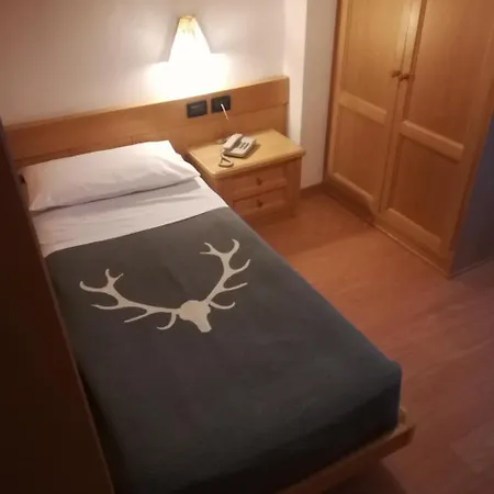 Hotel Dolomiten Irma 3*