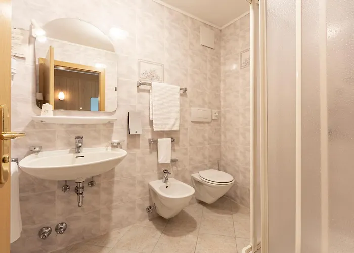 Hotel Dolomiten Irma 3*